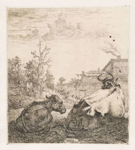 Reclining cow with calf
