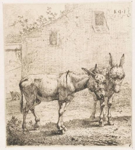 Two Donkeys