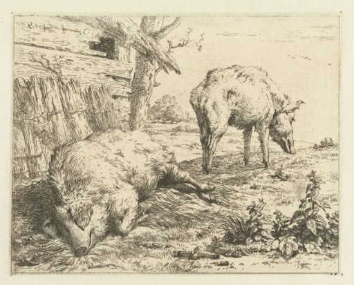 Two Pigs