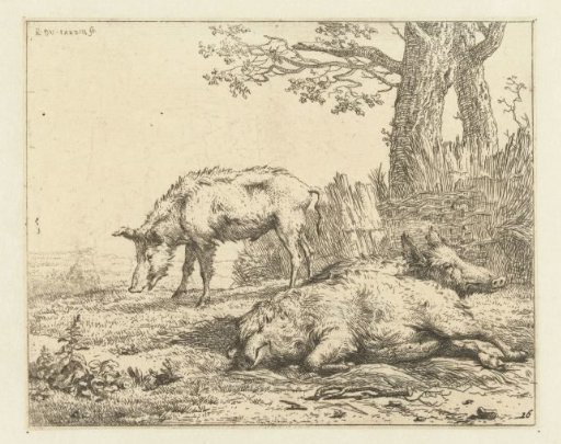 Three pigs by a hedge