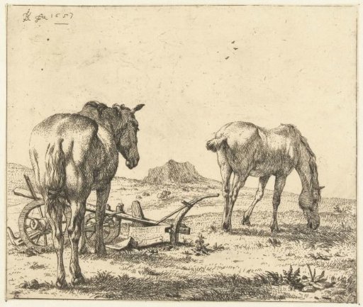 Two horses and a plough