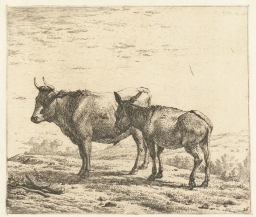 An ox and a donkey