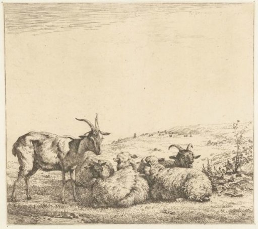Two goats and three sheep