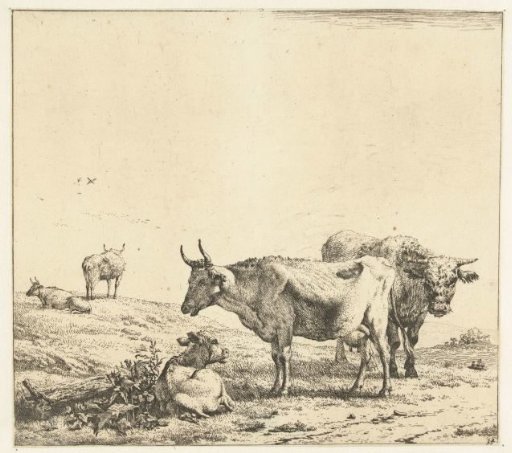 The cow, the bull and the calf