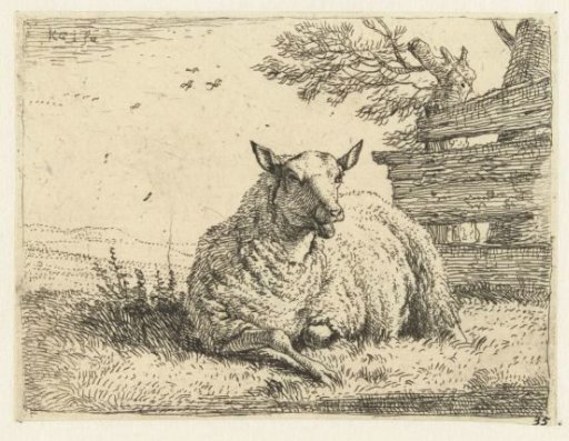 Sheep near a fence
