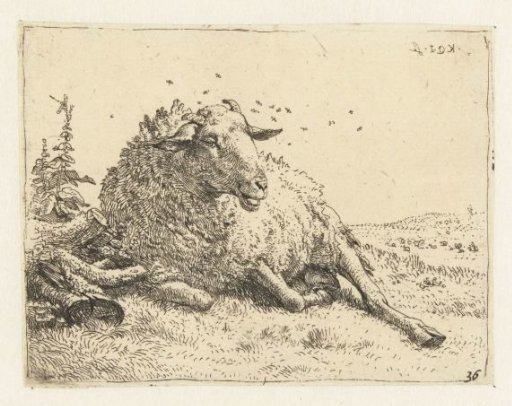 Sheep near a tree trunk