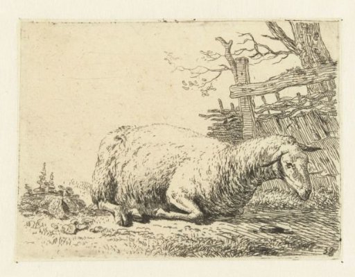 Sheep near a wicker fence