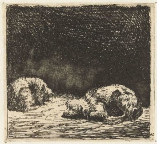 Sleeping Dog and Cat