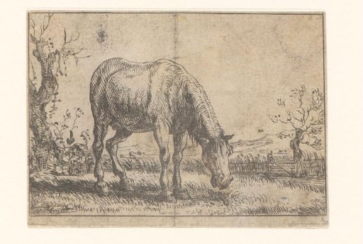 Grazing Horse