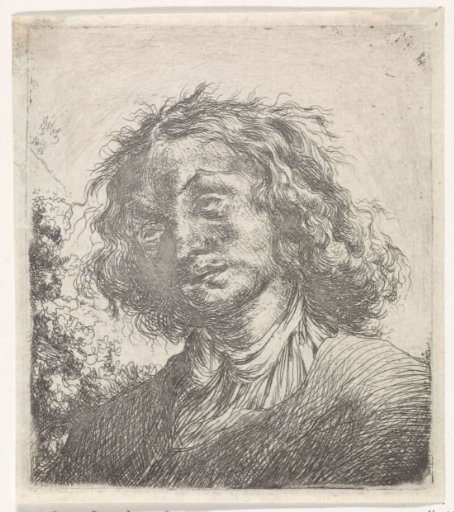 Portrait of a Man with Long Hair