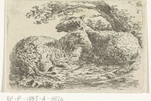 Two Sheep