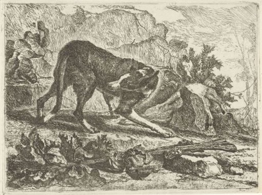 A dog