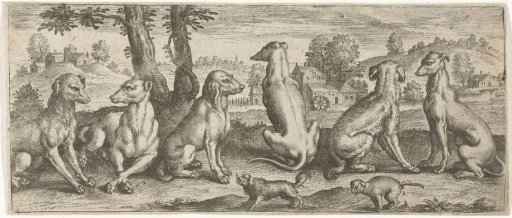 Dogs