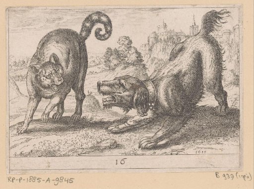 A Dog Fighting a Cat