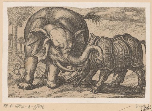 A Rhinoceros Fighting an Elephant