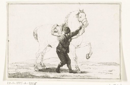 A boy holding a horse by the reins
