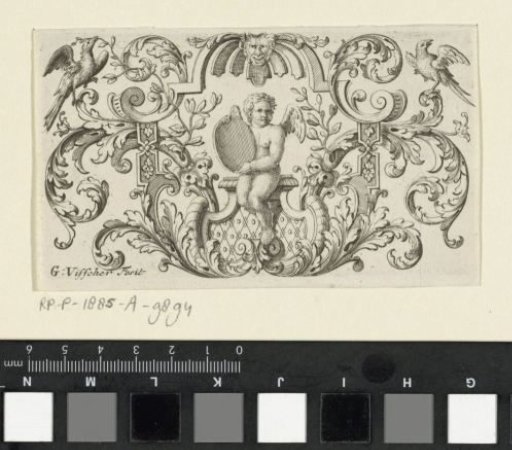 Putto with a round shield in his hands amidst leafy vines