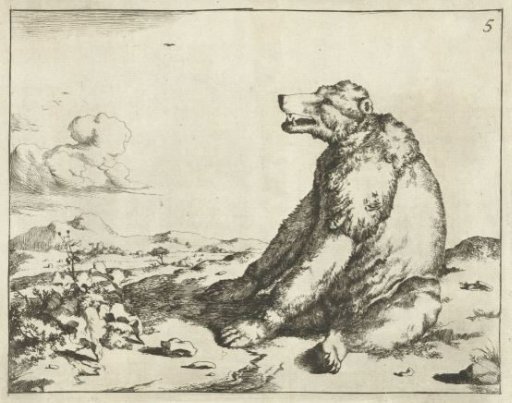 Sitting Bear, and Profile