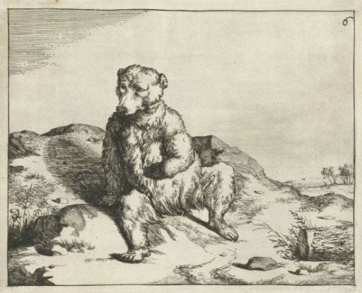 Sitting Bear Seen from the Front