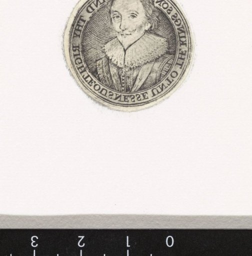 Portrait of Charles, Prince of Wales