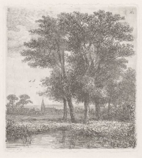 Four trees by a small pond