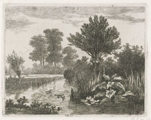 Ducks in a ditch