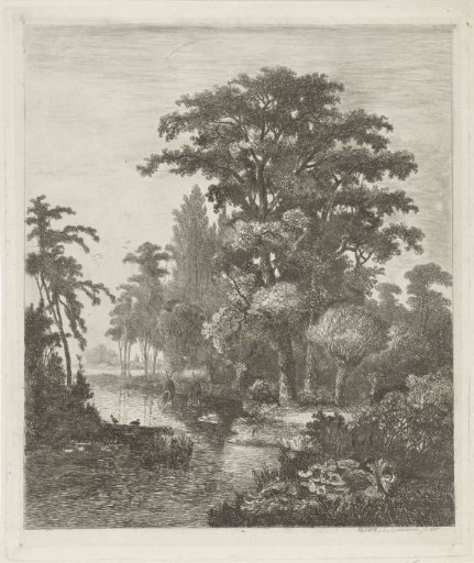Forest view with two duck nests in a river