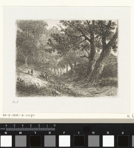Two figures in a wood
