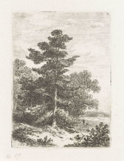 Landscape with a spruce tree