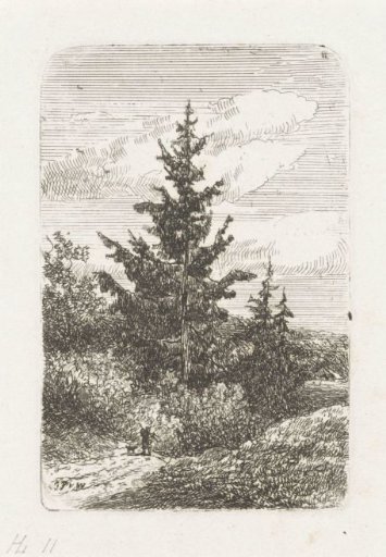 Landscape with three spruces