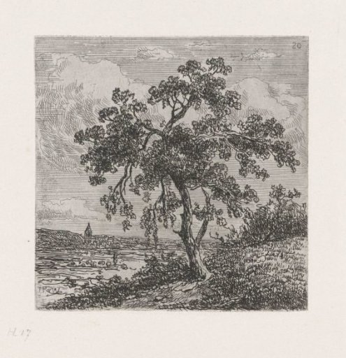 Landscape with a large tree