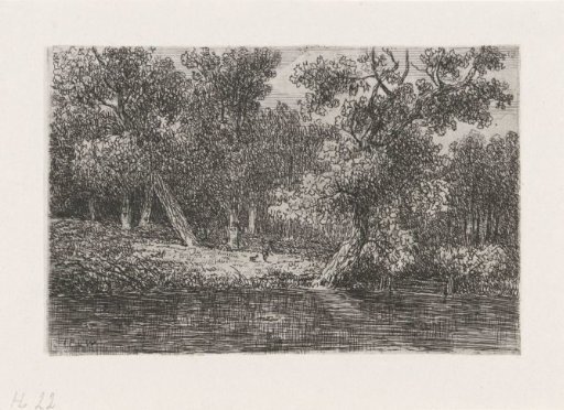 Wooded landscape with a body of water
