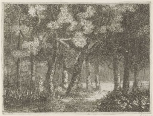 Hunter and His Dog in the Woods