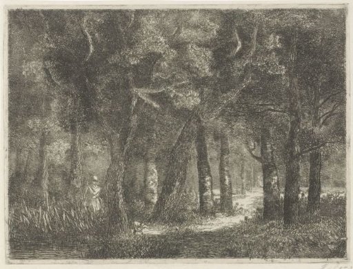 Hunter and His Dog in the Woods