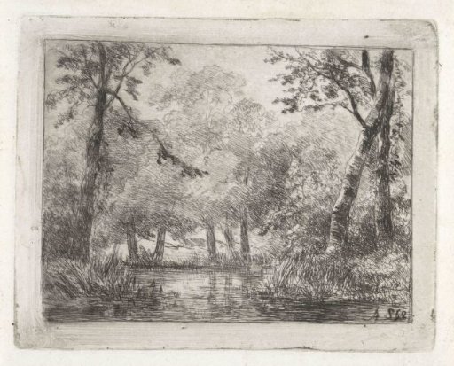 Forest view with pond