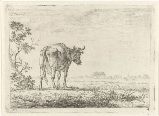 Cow in a Meadow