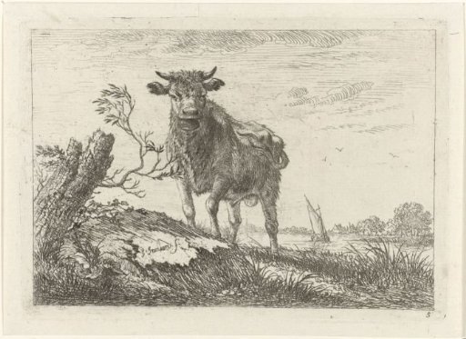 Bull on a Riverbank