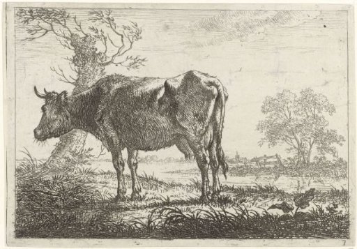 Standing Cow