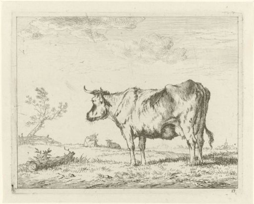 Meadow with Standing Cow