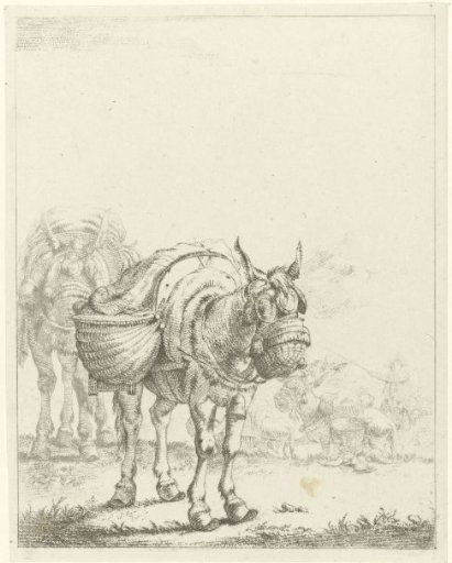 Two Pack Mules