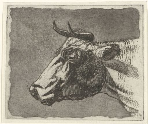 Head of a Cow