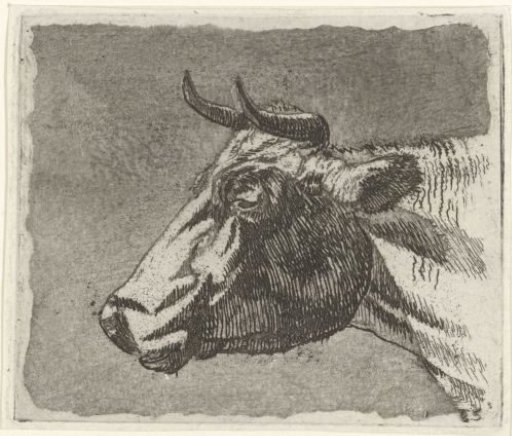 Head of a Cow
