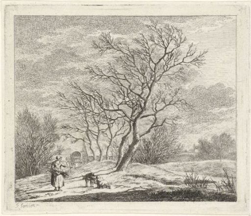 Winter landscape