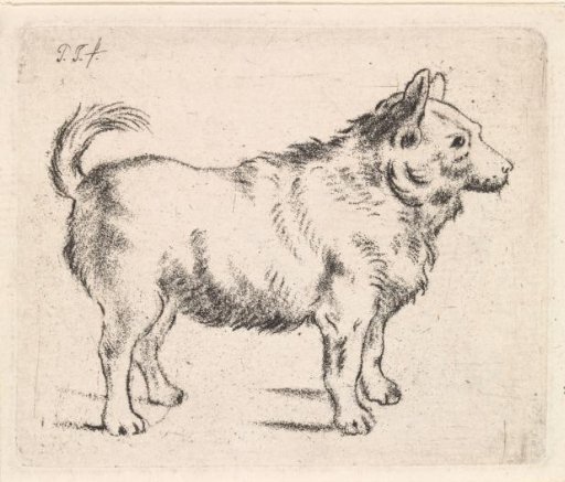Dog to the right