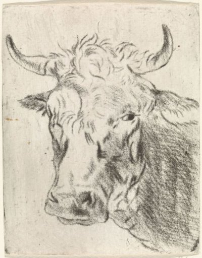 Ox's head, to the left