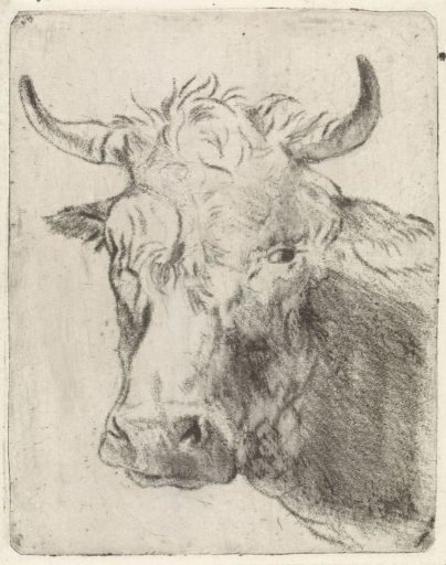 Ox's head, to the left