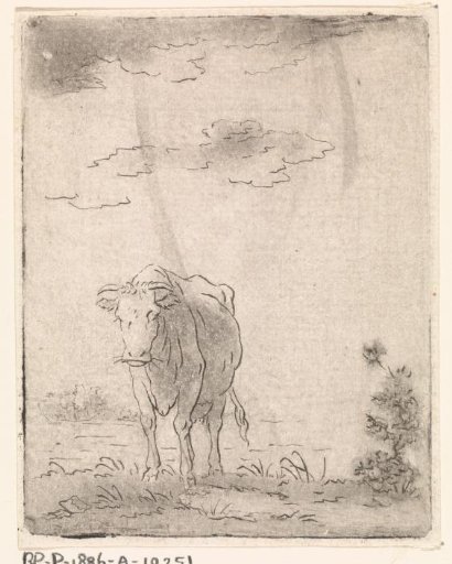 Landscape with cow