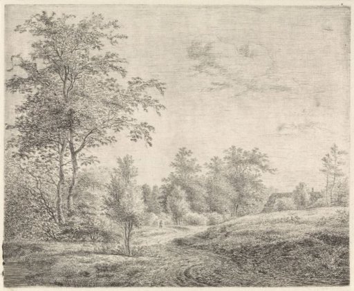 Wooded landscape with winding road