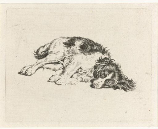 Sleeping dog