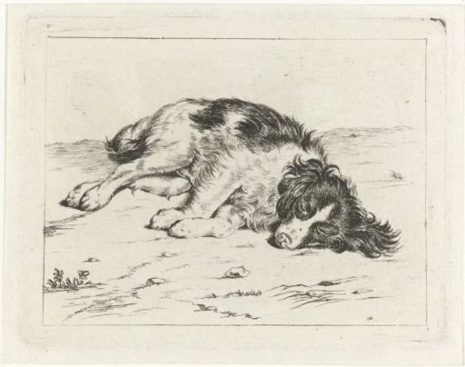 Sleeping dog